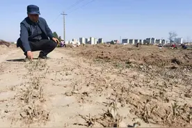 要求赔400余万只愿补偿22万，协议未达成中药育苗基地被推，街道办：重点项目亟待开工，不可能一直等下去图片