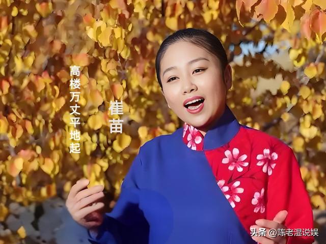 倾家荡产120万上星光大道，惨被淘汰后，负债40万的她如今怎样了