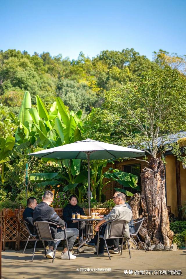 直冲20°C！武汉赏秋天花板，上新3个玩法
