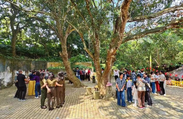 趣春游,赴一场蓝洋踏青的邀约