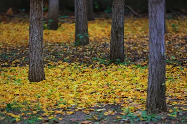 刷屏京津冀朋友圈！这个宝藏地超chill~