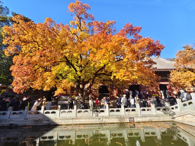 北京的秋是七彩的