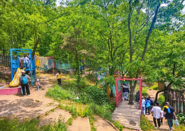 山东的阿勒泰私藏在日照！秋风一吹，如此绚烂！