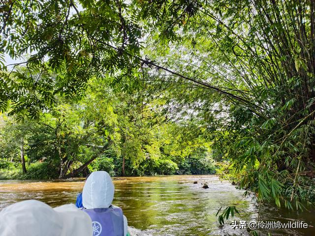 马来西亚(29)砂拉越州③姆鲁山清水洞·风洞