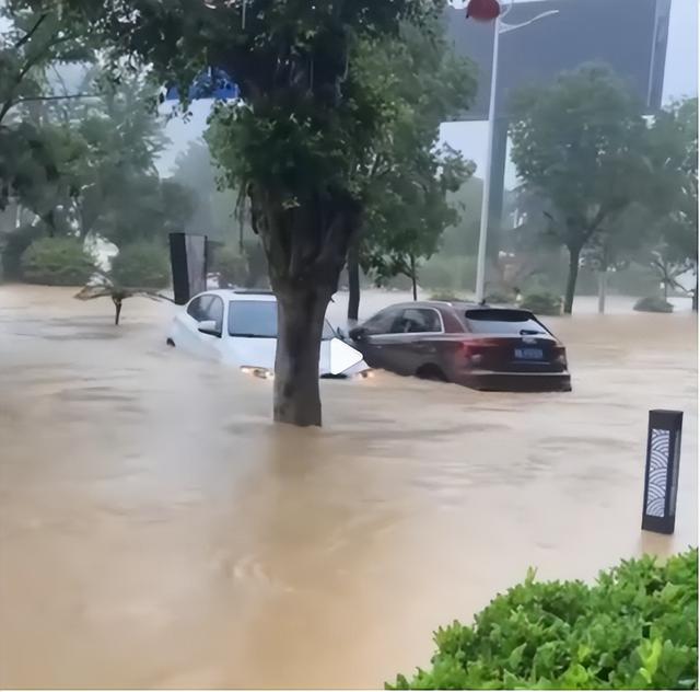 贪污上亿、假慈善？被实名举报的韩红，还是没有等来一声道歉