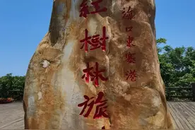 说说含“然”字的成语大世界图片