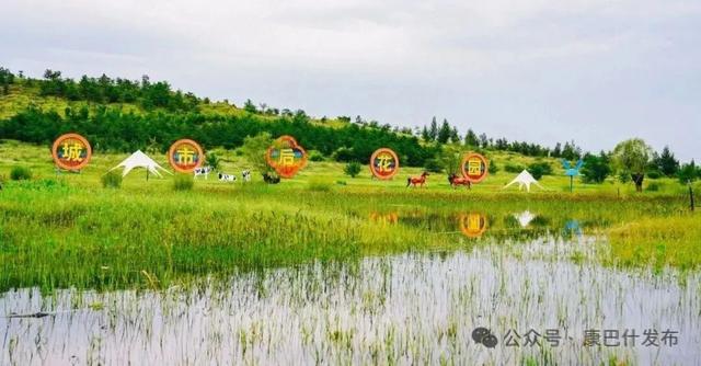 你敢信？20年前的风沙之地，如今竟成中国草原宜居第一城！