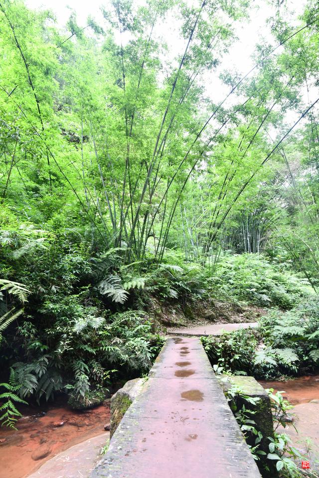 赤水四洞沟瀑布