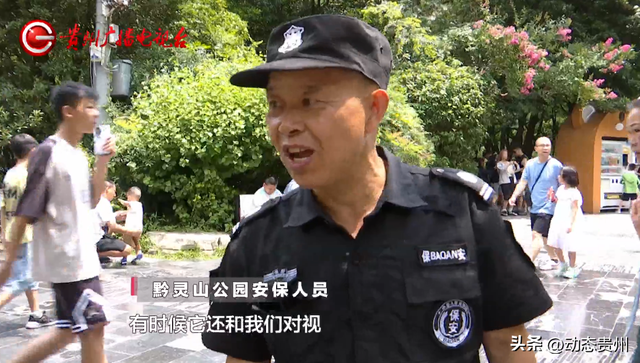 “你打猴我就打你”环卫工驱猴被游客怒斥，黔灵山公园工作人员
