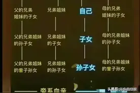 政审查三代，原来是这三代，整理清楚，一目了然，简单易懂图片