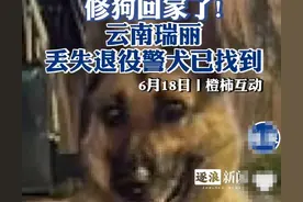 后续！寻狗启事？云南瑞丽一只退役警犬上厕所时被人偷走，已找到图片