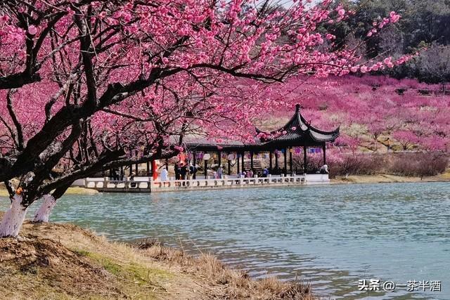 自驾攻略：江西由南向北自驾游线路，串联特色景点免费营地及美食