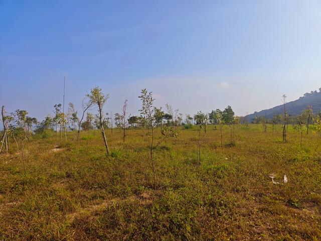 塘朗山郊野公园火车道口与绿平二路段，爬坡酸爽，骑友的天堂