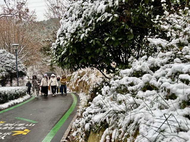 瑞雪飘然而至中国海滨城市青岛
