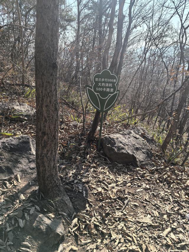 南京第二次到镇江武岐山空青山郊野徒步