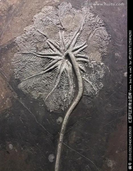 一个村办博物馆,为何能吸引各地游客前去参观?