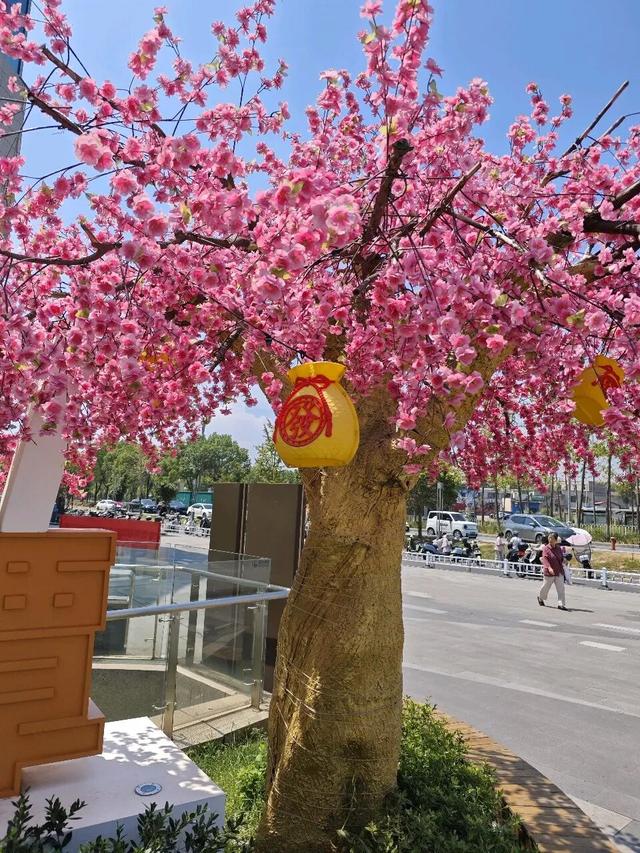 泑游丨短途旅行