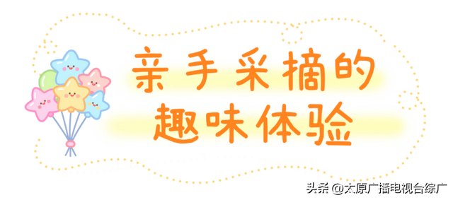 遇见·尖草坪丨不费家长、专治无聊，尖草坪这些地方娃娃们都玩疯了~