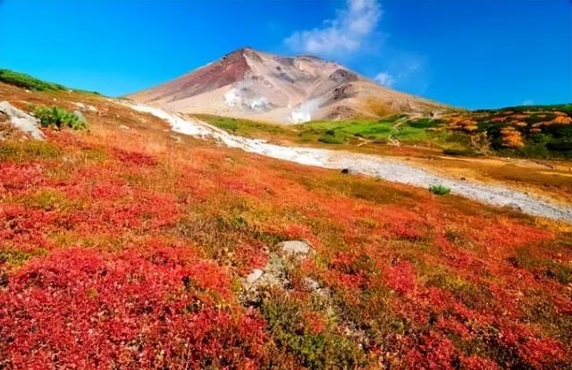 2025日本赏红叶攻略已出！附北海道、东北5大赏红叶景点~