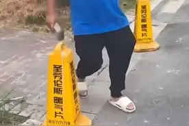 宠物狗对车轮撒尿，车主拾砖怒砸图片