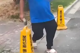 宠物狗对车轮撒尿，车主拾砖怒砸图片