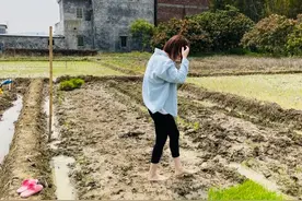故事：二妹图片