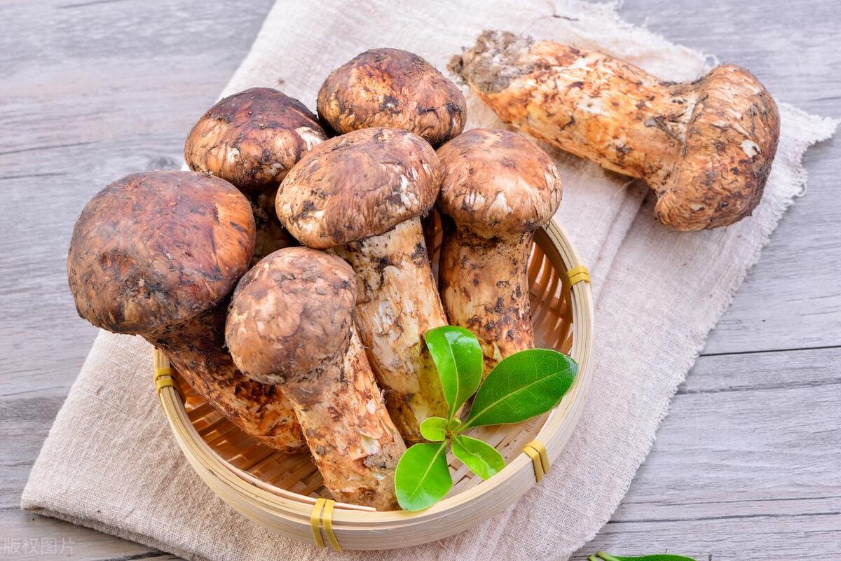 会东县美食推,会东比较具有特色美食?插图6 会东县美食推,会东比较具有特色美食?插图6