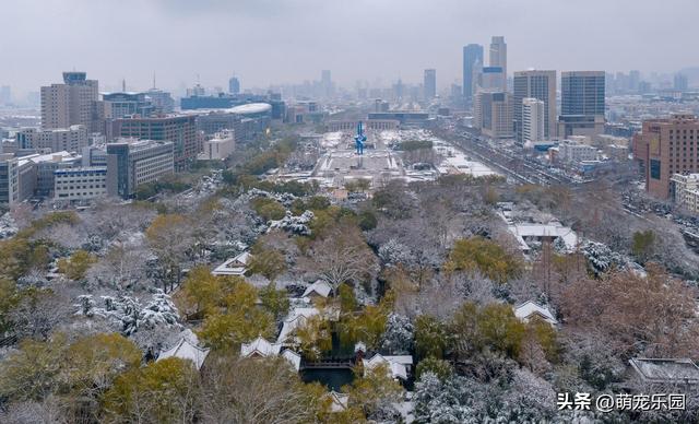 雪精灵造访济南城，趵突泉边遇奇迹，千佛山上现童话