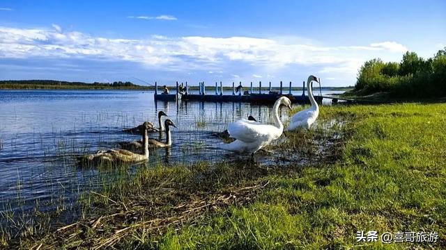 双鸭山市安邦河国家湿地公园：北国水镜的生态桃源