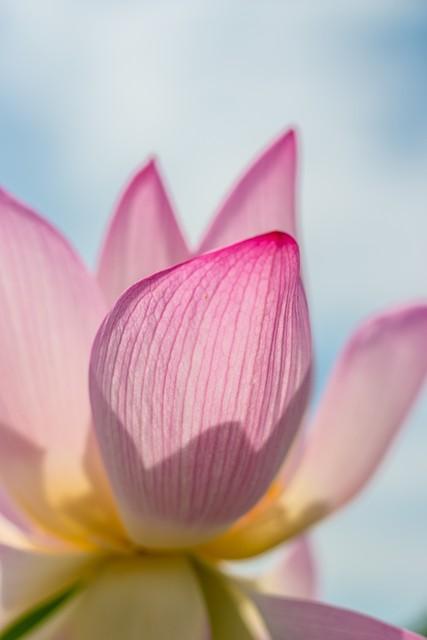 两性关系：牢牢记住这五个真相	，哪怕熬过再难的日子也能相守到老