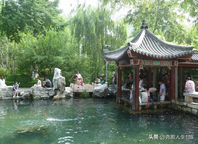 夏日炎炎，泉城戏水，不辞长作济南人