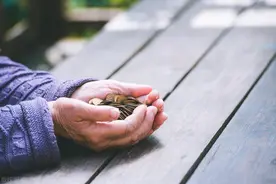 75万余元养老钱追回来了！15位老人陷入养老“圈套”，法援帮助讨回公道图片