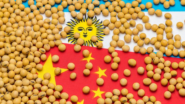 美国大豆期货价格为何上涨