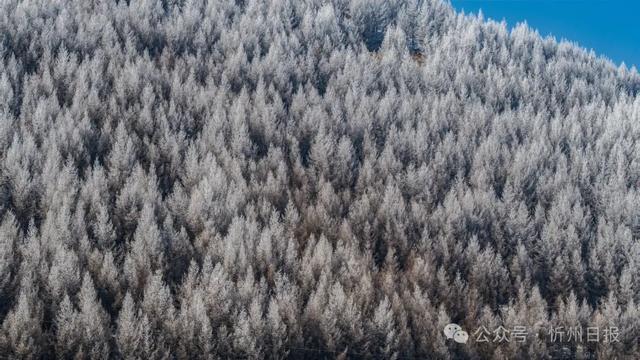 五台山有多少极致风光？