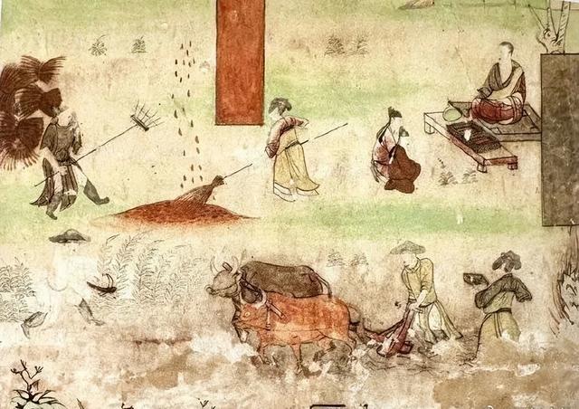 敦煌农耕最大“二牛抬杠”现身阳关