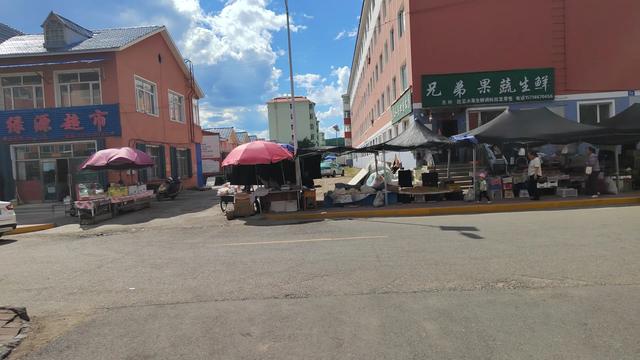 床车游记(黑龙江省大兴安岭地区新林区)