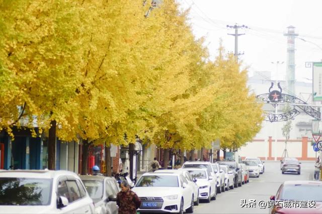 老街温情 都在黄石这条黄金步道里