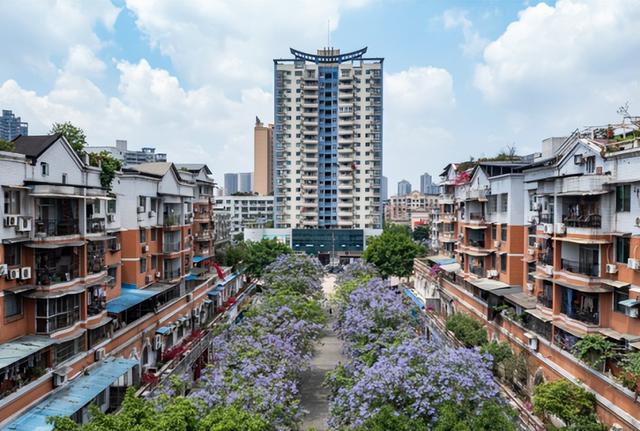 地名里的重庆 | 九龙坡西彭，多重魅力的小镇