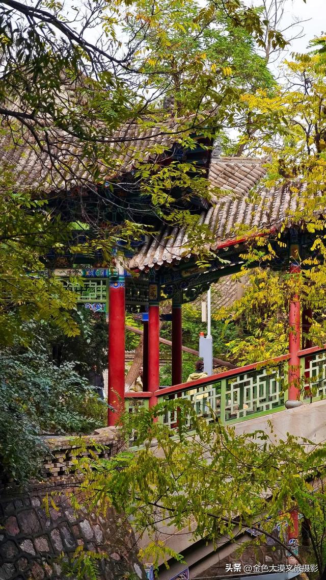 秋染五泉山:兰州城畔的千年诗意与一季斑斓