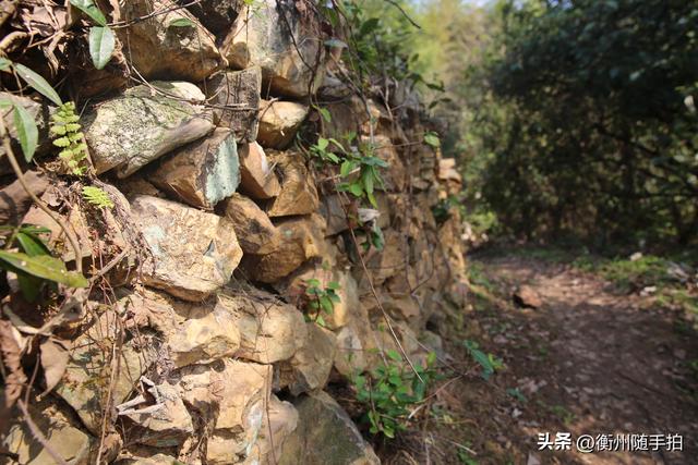 衡阳县佛国寺：千年古刹的历史与文化传承