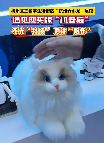 有钢铁硬汉，也有可爱萌宠，现在的机器人真的太全面了！