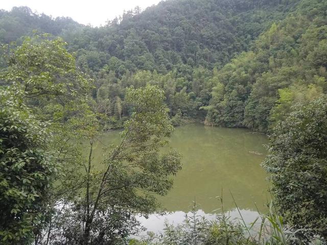 端阳喜伴小溪河，独有诗心迷远足——徒步小溪河散记（三）