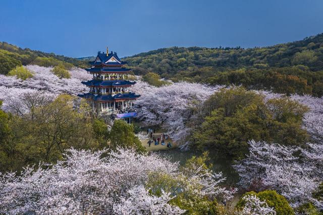 2-3月适合去哪里旅行，这6个地方，赴一场春日之约，看看好春光