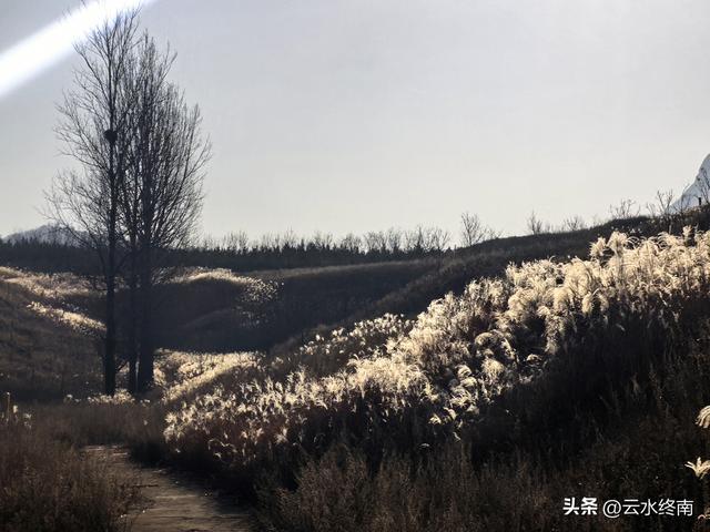 游览了这片芦花后，我又到蓝田这个没有拆掉的村子，见到这些老人