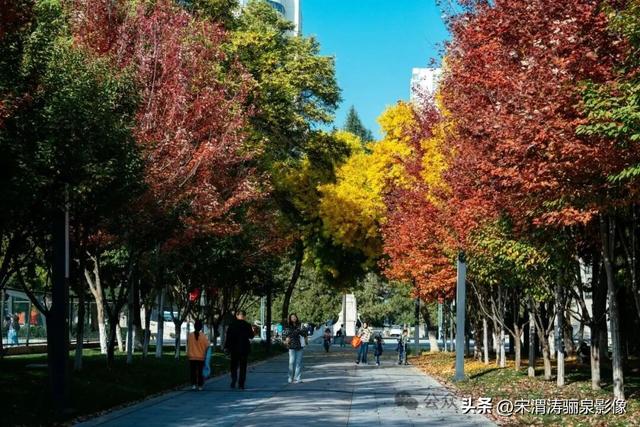 甘肃兰州：兰州两日游之兰州大学壮观大气 秋色盎然 美丽醉人