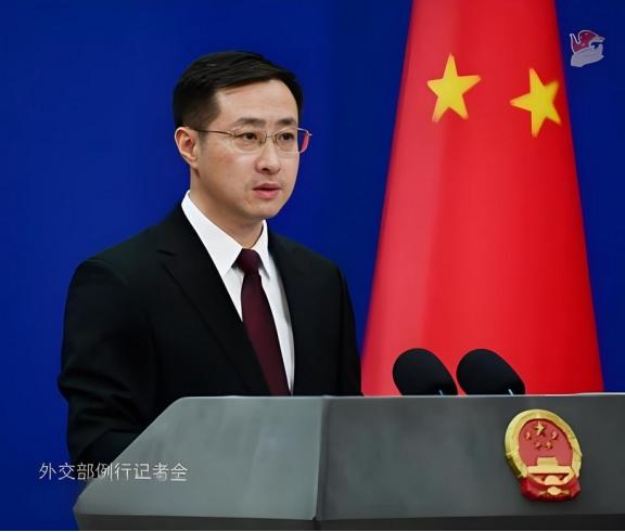 中方作出决定,不再同捷克总统交往,话音刚落,捷克回应2句话