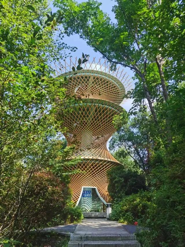 梅溪湖的正确打开方式，很多人都没体验过！