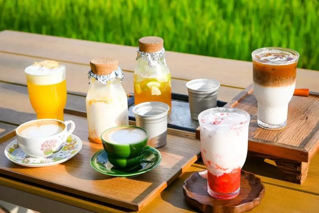 绿光森林、绿野仙踪、南法庄园……夏日绿色潮玩超治愈→