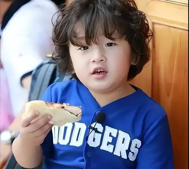 爸爸去哪儿10个孩子现状：有人进国家队，有人出家，有人出国锻炼