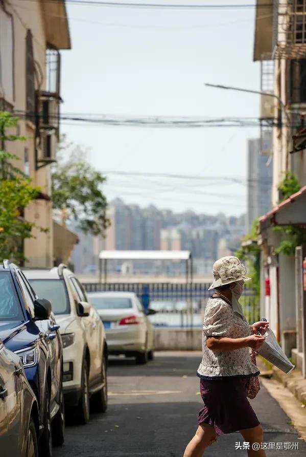 五百年古塔“镇守”,鄂州这条街藏着最浓生活味